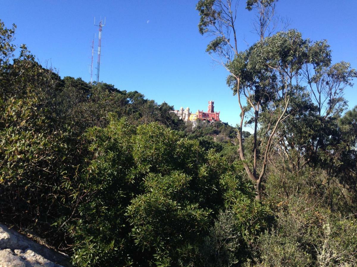 Casas do Pátio Sem Cantigas 4 Sintra Esterno foto